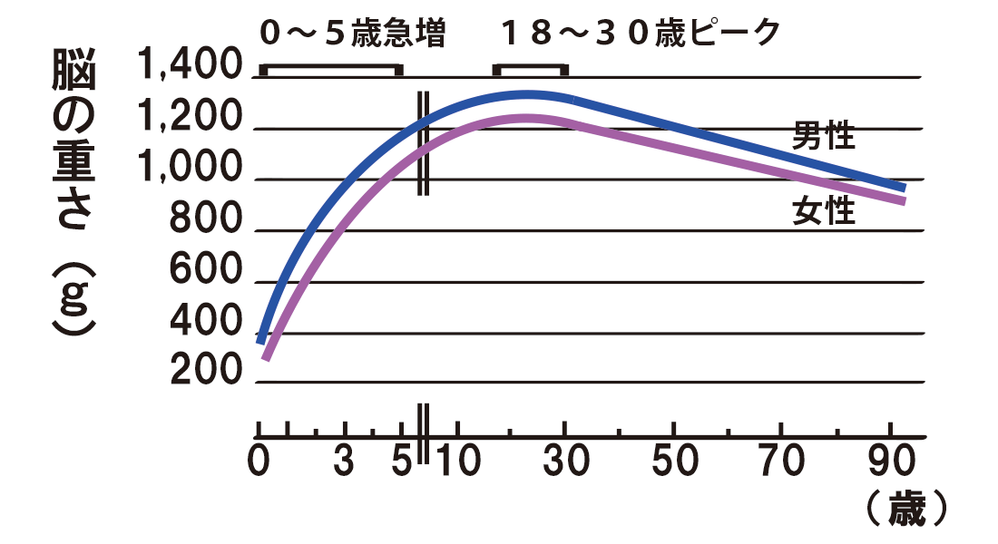 脳の重量と年齢のグラフ