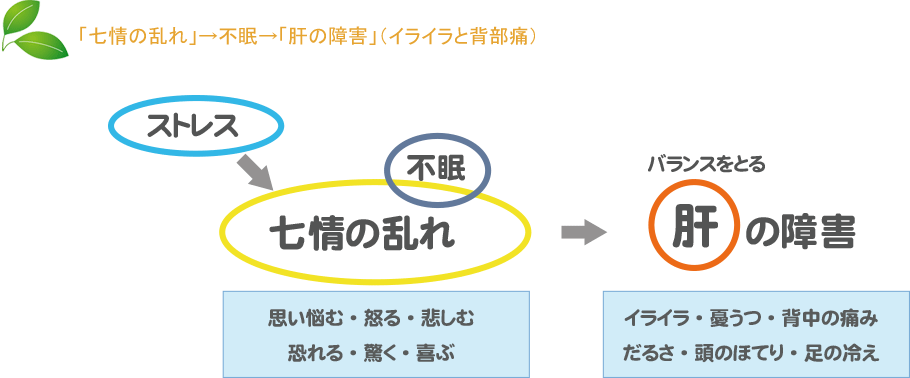 「七情の乱れ」→不眠→「肝の障害」（イライラと背部痛）